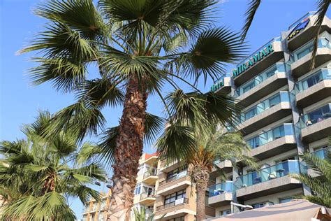 hotel miramar lloret de mar|hotel metropol lloret de mar.